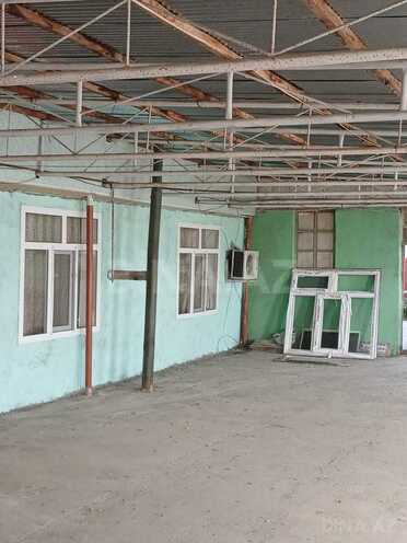 Satılır  torpaq 250 sot, photo 20 from 24