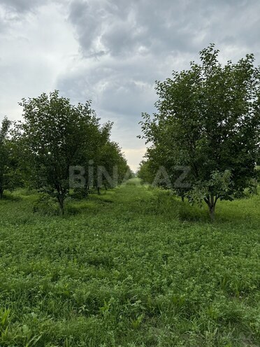 Satılır  torpaq 210 sot, photo 5 from 10