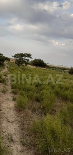 Satılır  torpaq 20 sot, Pirallahı r., photo 3 from 7