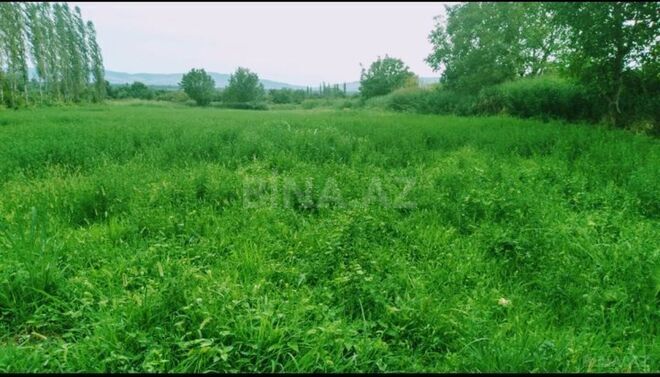 Продаётся  участок 82 сот, photo 4 from 11