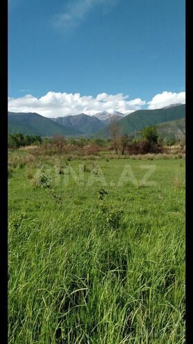 Продаётся  участок 82 сот, photo 9 from 11