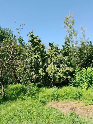 Продаётся  участок 82 сот, photo 10 from 11