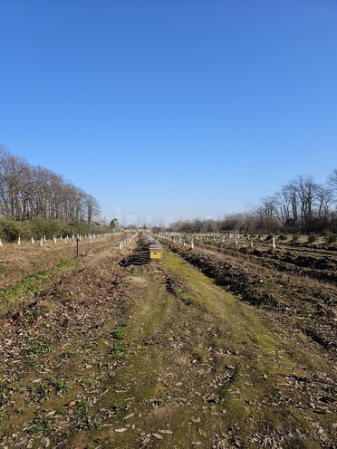 Продаётся  участок 93.4 сот, photo 11 from 15