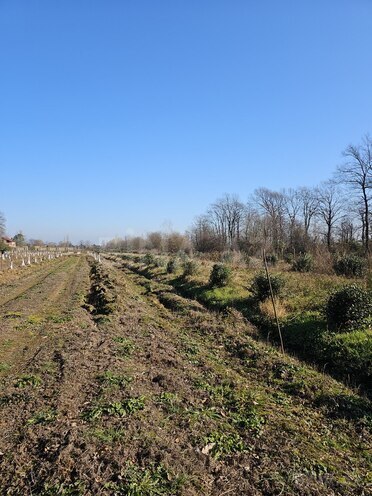 Продаётся  участок 93.4 сот, photo 10 from 15