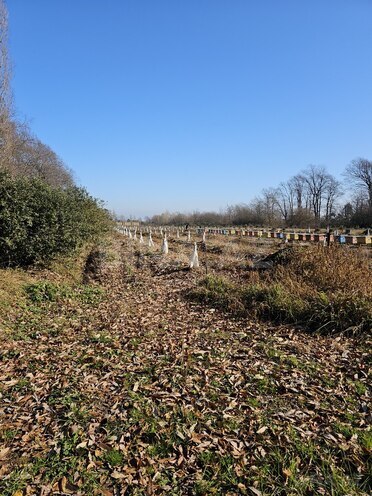 Продаётся  участок 93.4 сот, photo 13 from 15