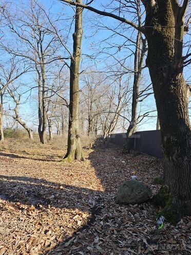 Продаётся  участок 93.4 сот, photo 8 from 15