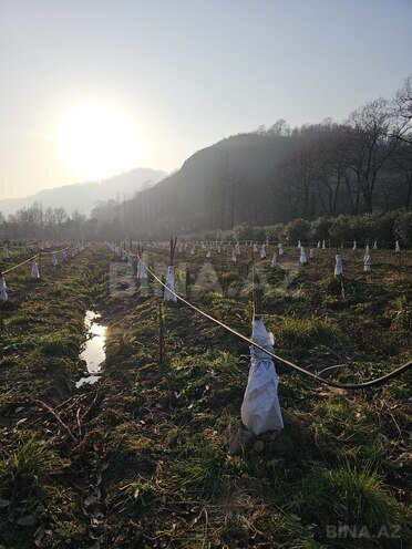 Продаётся  участок 93.4 сот, photo 3 from 15