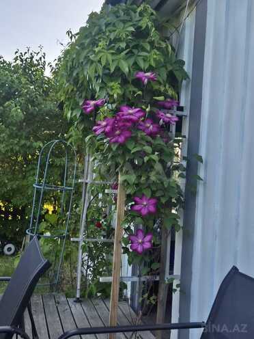 Продаётся 3-комн. дом/дача 150 м², пос. Сулутепе, photo 6 from 32