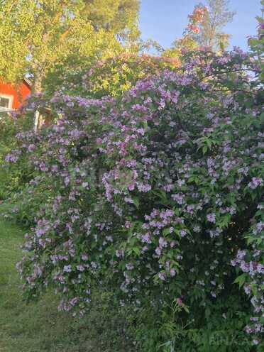 Продаётся 3-комн. дом/дача 150 м², пос. Сулутепе, photo 3 from 32