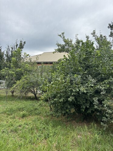 Продаётся 6-комн. дом/дача 350 м², photo 12 from 22