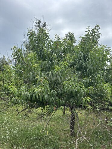 Продаётся 6-комн. дом/дача 350 м², photo 19 from 22