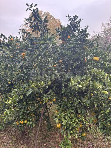 Продаётся 6-комн. дом/дача 350 м², photo 21 from 22