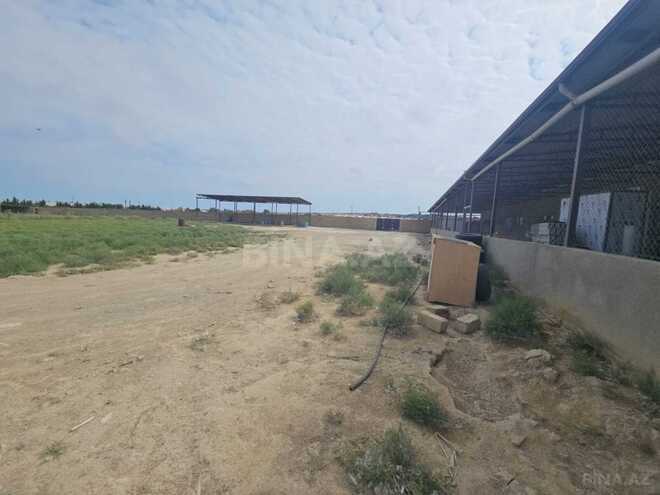 Продаётся  объект 650 м², пос. Мамедли, photo 12 from 18