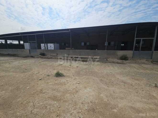 Продаётся  объект 650 м², пос. Мамедли, photo 3 from 18