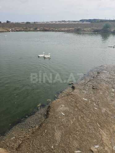 Продаётся  объект 650 м², пос. Мамедли, photo 7 from 18