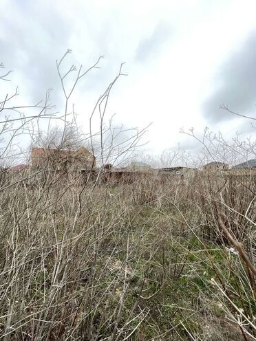 Продаётся  участок 200 сот, Сабунчинский  р., photo 3 from 10