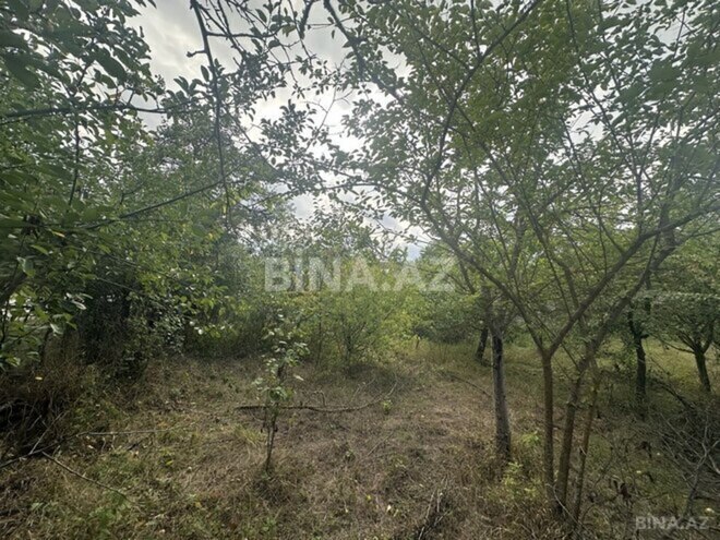 Satılır  torpaq 10 sot, photo 3 from 7