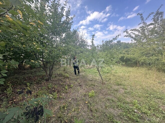 Satılır  torpaq 10 sot, photo 4 from 7