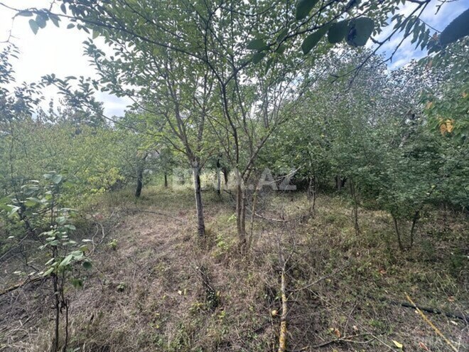 Satılır  torpaq 10 sot, photo 6 from 7