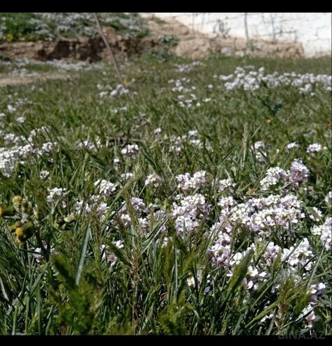 Satılır 4 otaqlı həyət evi/bağ evi 100 m², Şubanı q., photo 8 from 25