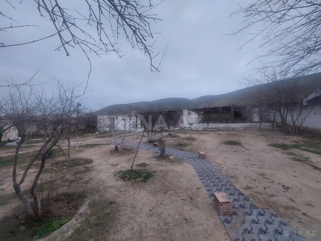 Satılır 4 otaqlı həyət evi/bağ evi 100 m², Şubanı q., photo 20 from 25
