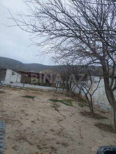 Satılır 4 otaqlı həyət evi/bağ evi 100 m², Şubanı q., photo 23 from 25