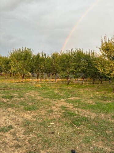 Satılır  torpaq 1 200 sot, photo 1 from 6