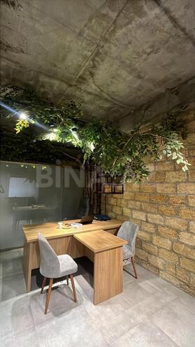 Сдаётся  объект 412 м², м. Сахил, photo 4 from 6