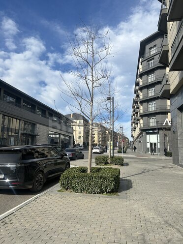 Сдаётся  объект 760 м², пос. Аг шехер, photo 4 from 17