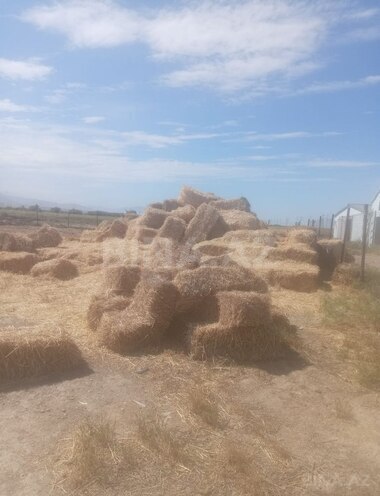 Продаётся  участок 5 000 сот, photo 16 from 30