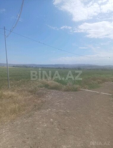 Продаётся  участок 5 000 сот, photo 21 from 30