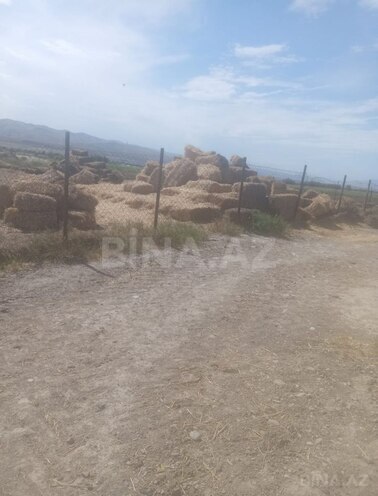 Продаётся  участок 5 000 сот, photo 18 from 30