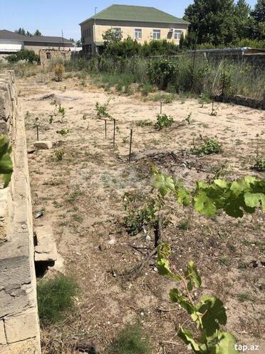 Продаётся  участок 6 сот, пос. Новханы, photo 6 from 7