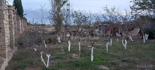 Продаётся  участок 7 сот, пос. Бюльбюля, photo 4 from 11