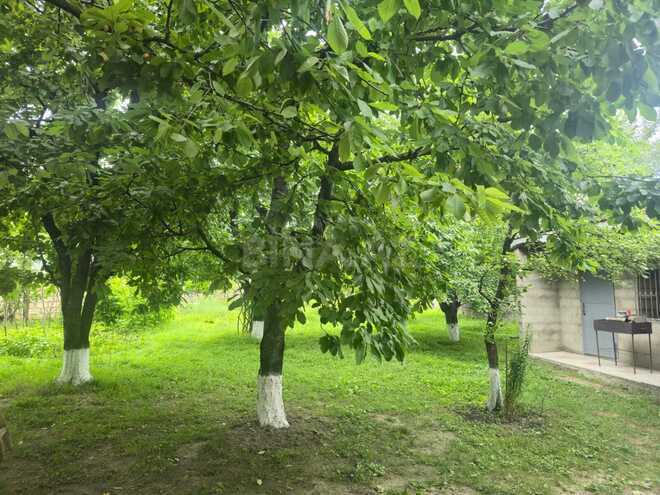 Сдаётся 2-комн. дом/дача 40 м², photo 4 from 18