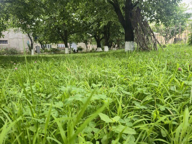 Сдаётся 2-комн. дом/дача 40 м², photo 3 from 18