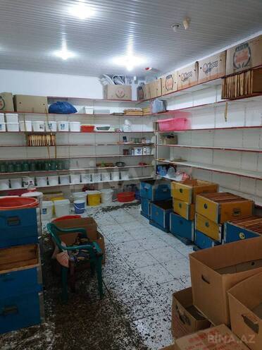 Продаётся  объект 80 м², пос. Старые Гюнешли, photo 6 from 8