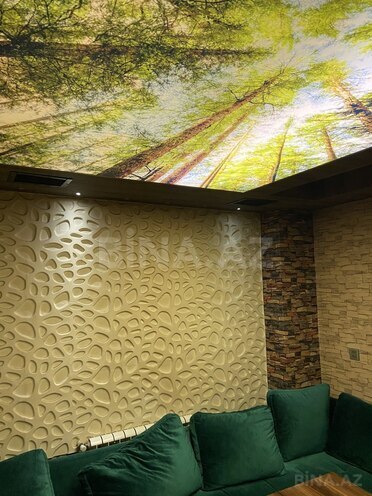 Сдаётся  объект 570 м², м. Иншаатчылар, photo 5 from 29