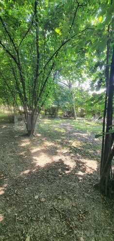 Satılır  torpaq 9 sot, photo 4 from 9