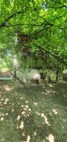 Satılır  torpaq 9 sot, photo 5 from 9