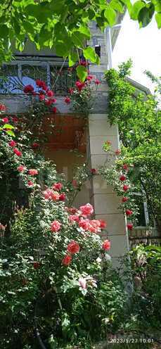 İcarəyə verilir 2 otaqlı yeni tikili 200 m², photo 16 from 27