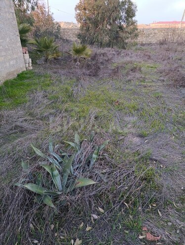 Satılır  torpaq 6 sot, Türkan q., photo 11 from 12