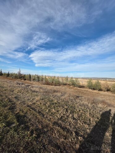 Satılır  torpaq 1 200 sot, Ələt q., photo 8 from 11