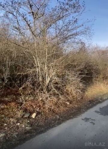 Satılır  torpaq 12 sot, photo 3 from 15