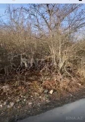 Satılır  torpaq 12 sot, photo 4 from 15