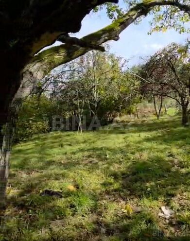 Satılır  torpaq 12 sot, photo 8 from 15