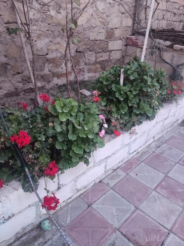 Продаётся 3-комн. дом/дача 65 м², пос. Бюльбюля, photo 13 from 16