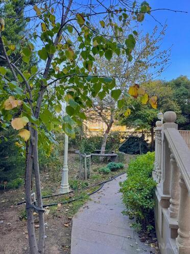 Satılır 6 otaqlı həyət evi/bağ evi 350 m², Bilgəh q., photo 23 from 32