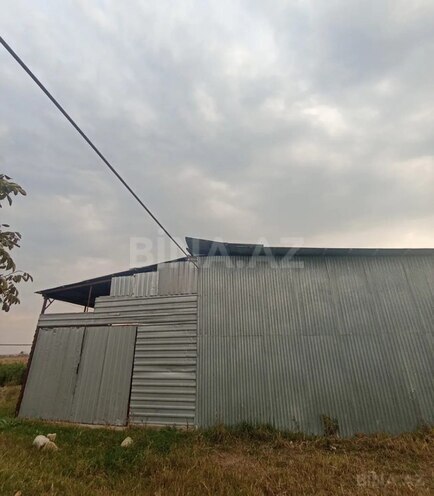 Satılır  torpaq 50 sot, photo 11 from 12