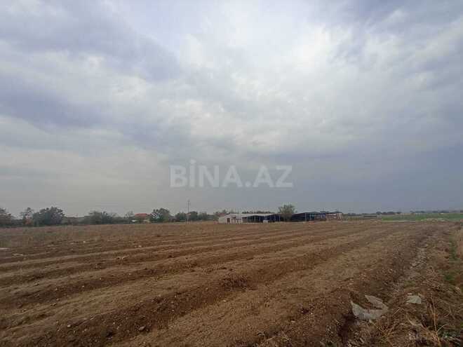 Satılır  torpaq 50 sot, photo 3 from 12